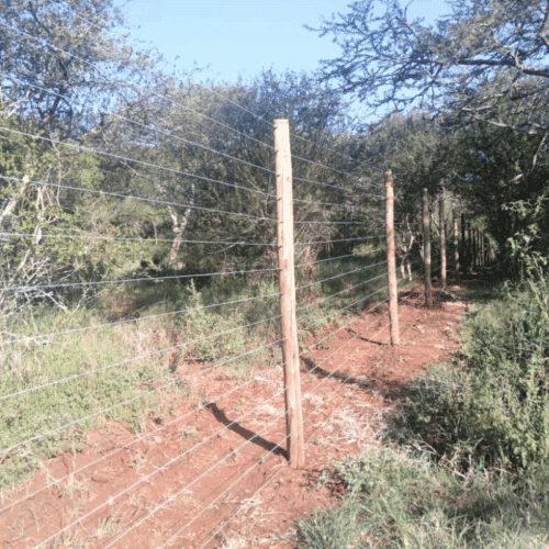 Why Choose Electric Fences Kenya for Wildlife Fencing