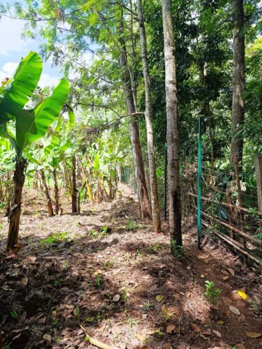 Free standing electric fence to Secure Your Home, Farm & Business