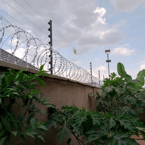 Install Top Wall Electric fence installation on 50 by 100 plot Kenya