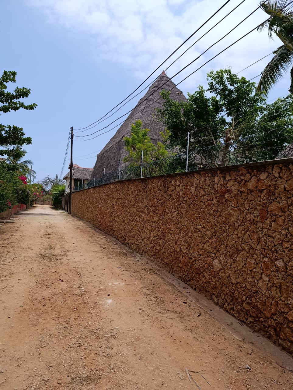 Electric Fence with Green Colour (PVC Coated) Razor Wire in Kenya