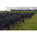 Buy Complete Portable Fencing Solution for Livestock Management