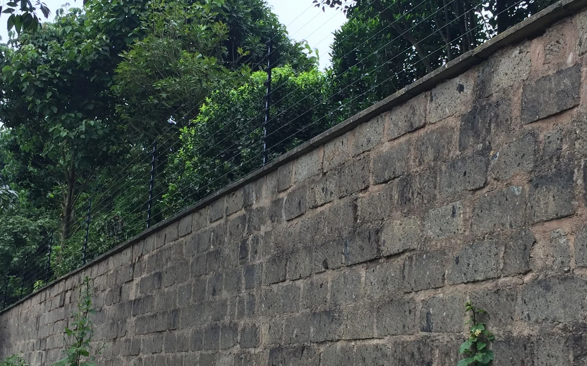 Get the best Wall top electric fence in Kenya