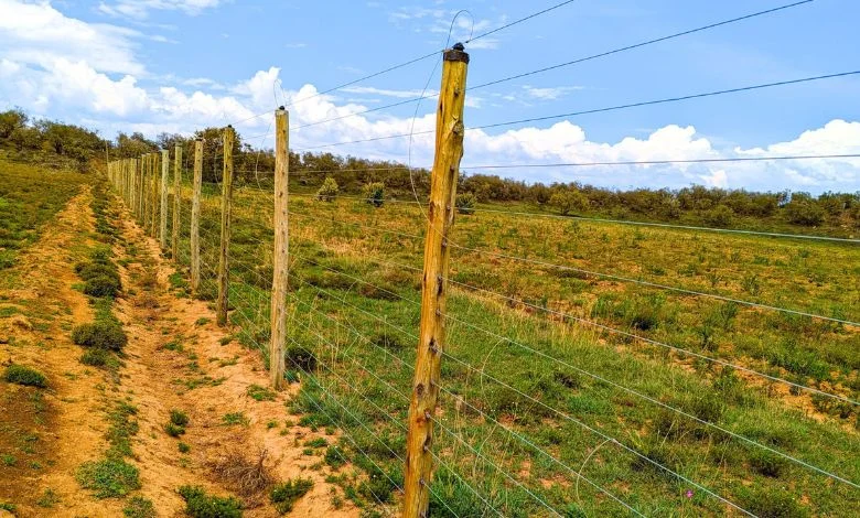 we install the best farm and game fences in Kenya
