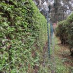 A free standing electric fence is a reliable perimeter security system designed to protect properties without the need for boundary walls. It is installed using strong, durable posts that support high-tensile electric wires to create an effective deterrent against intruders. In Nairobi, Kenya, we install free standing electric fences using both steel posts and treated wooden posts, depending on the site requirements and client preference. This flexibility allows us to deliver secure, long-lasting, and professional installations suitable for residential, commercial, and agricultural properties.