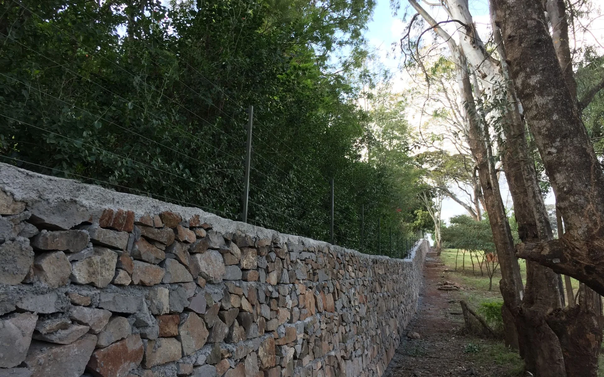 install wall top electric fencing solutions in Kenya