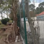 Anti Cut, Anti Climb Clear View Fences