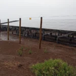 solar powered electric fences for infrastructure security in Kenya