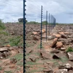 Benefits of Installing Electric Fences