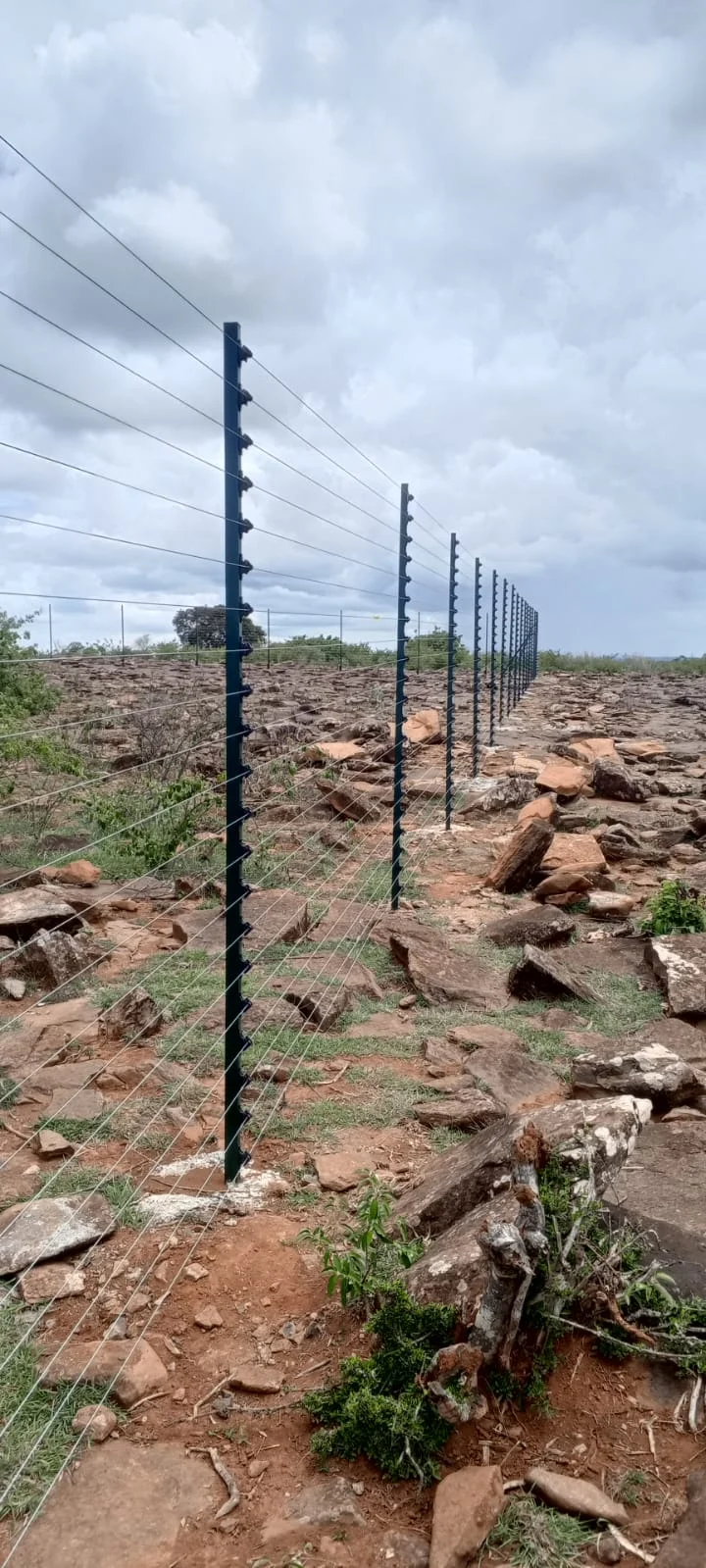 Benefits of Installing Electric Fences