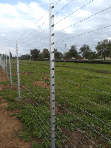 Install Security Electric Fences for Solar Plants in Kenya