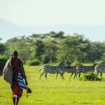 Understand Kenyan environmental laws, NEMA regulations, wildlife conservation practices, human-wildlife conflict mitigation, and real case studies from Narok, Kajiado, Nanyuki, Nyeri, and other regions.