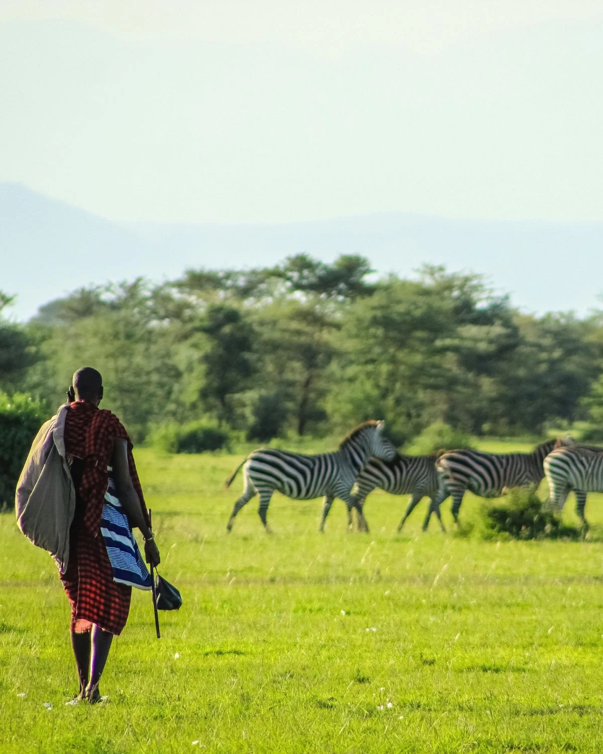 Understand Kenyan environmental laws, NEMA regulations, wildlife conservation practices, human-wildlife conflict mitigation, and real case studies from Narok, Kajiado, Nanyuki, Nyeri, and other regions.