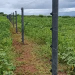 why Electric Fences Africa is Kenya’s trusted electric fencing company.