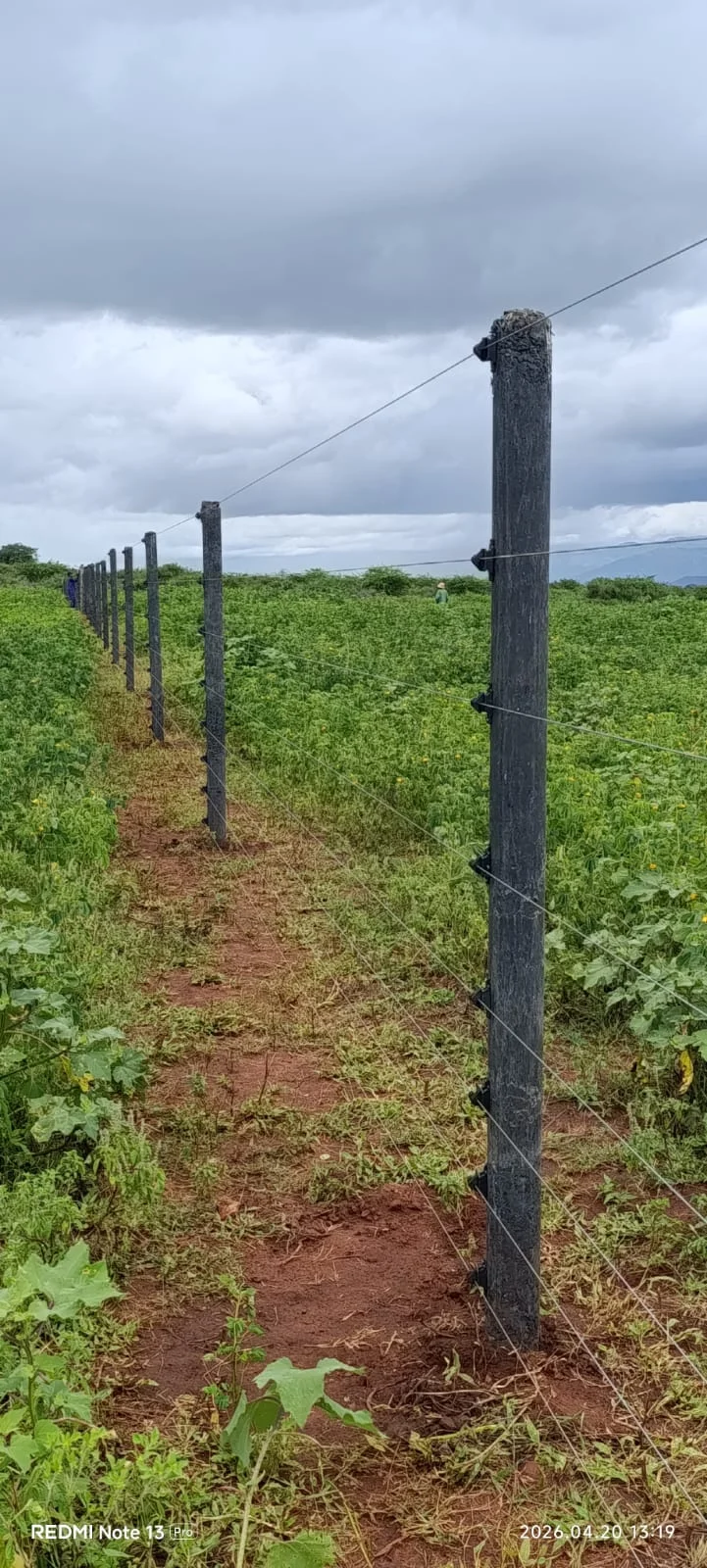 why Electric Fences Africa is Kenya’s trusted electric fencing company.